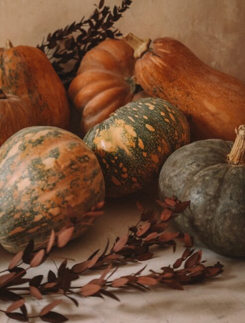 Variety of Pumpkins- Photo by Katie Azi on Unsplash